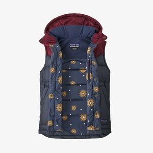 Patagonia Bivy Hooded Vest